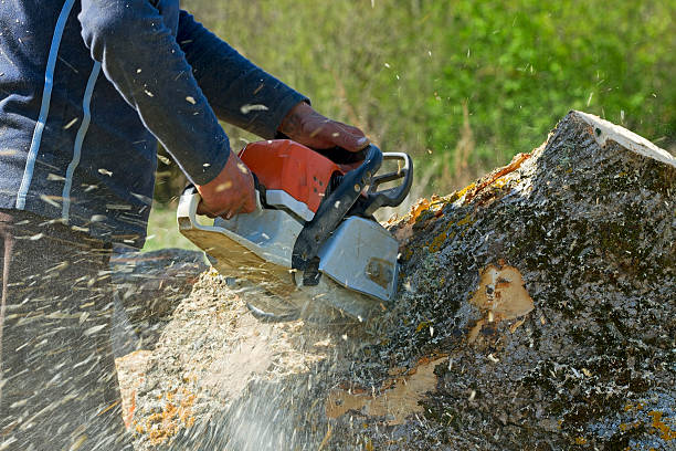 Best Soil Testing and Treatment  in Salem, IN